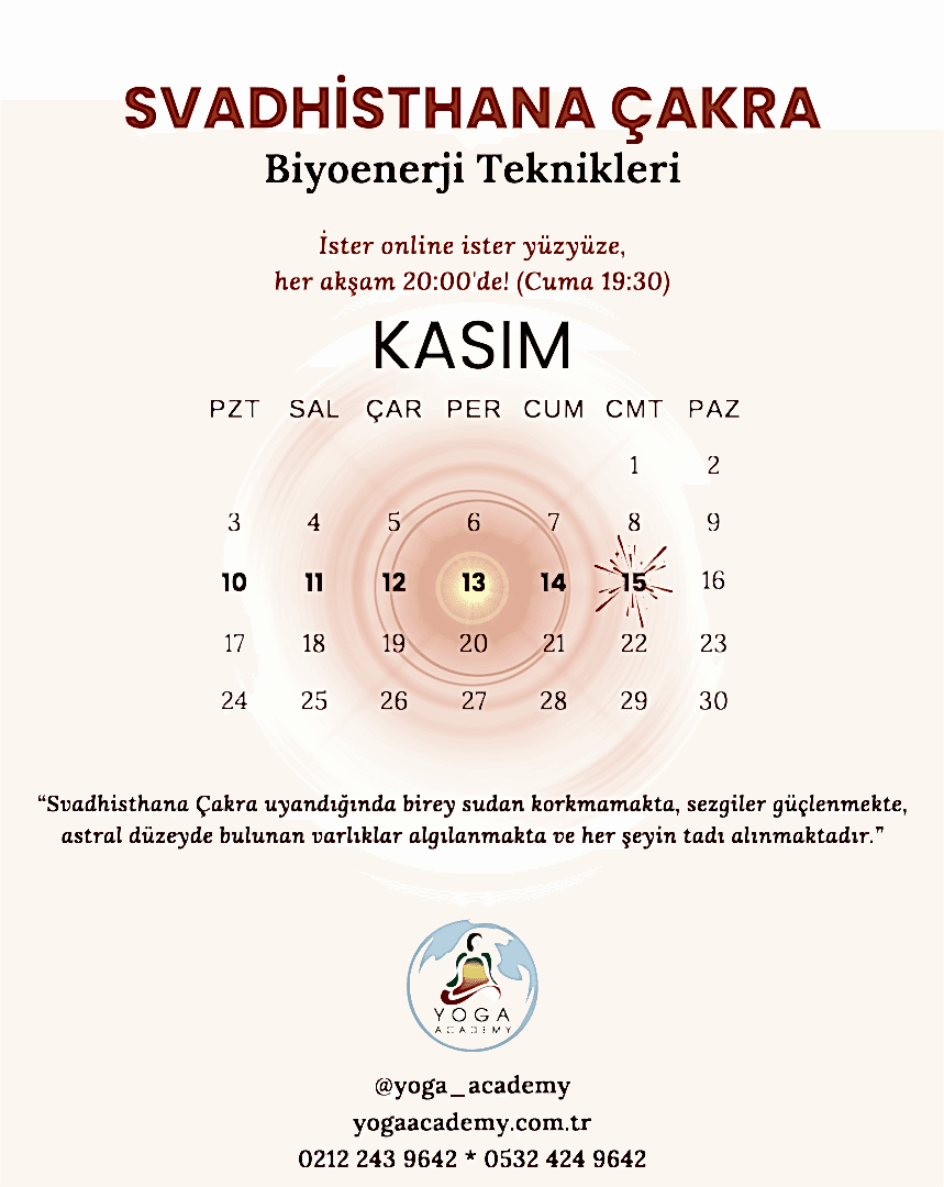 ÇAKRA ÇALIŞMALARI