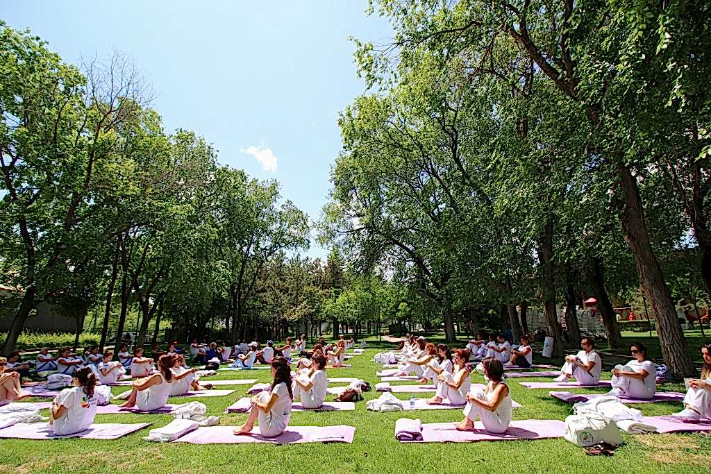 Çakra Enerji Merkezi Çalışmaları