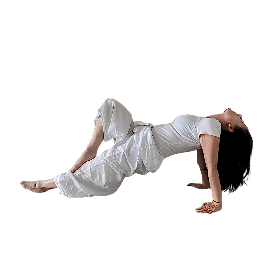 MERIT SOLARAH AUREONG