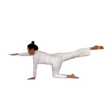 NUTANA NEŞE MALKOÇ